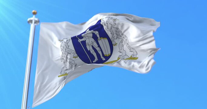 Flag of Dzukija, cultural region of Lithuania. Loop