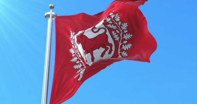 Flag of Sudovia, cultural region of Lithuania. Loop