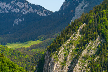  mountain village in the Carpathian mountains.