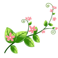 Leaf