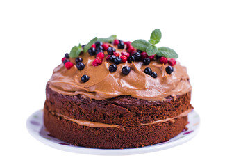 Obraz na płótnie Canvas chocolate cake isolated on white