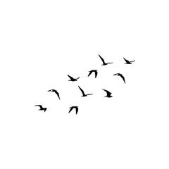 vector of flock of birds