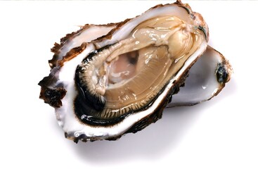 Sensory Delight: Exquisite Close-Up of Fresh Raw Oysters in Shell, Captured in 4K Resolution