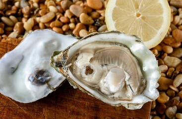 Ocean's Delicacy: Captivating Close-Up of Fresh Raw Oysters in Shell with Zesty Lemon, in 4K Resolution