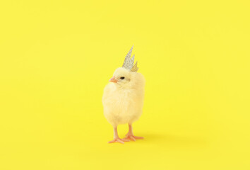 Cute little chick with crown on yellow background