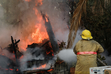 Firefighters try to put out the fire raging in the trees, farms and palms
