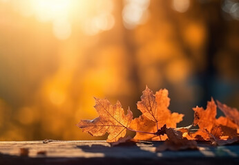 Naklejka na ściany i meble Beautiful autumn landscape with falling leaves natural background, colorful foliage maple in park