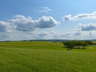 A wonderful open-air park. sunny weather and light clouds in the sky create an amazing atmosphere. Beautiful sunny summer day