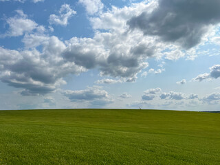 A wonderful open-air park. sunny weather and light clouds in the sky create an amazing atmosphere. Beautiful sunny summer day