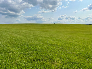Obraz premium A wonderful open-air park. sunny weather and light clouds in the sky create an amazing atmosphere. Beautiful sunny summer day