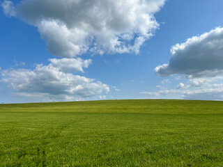 A wonderful open-air park. sunny weather and light clouds in the sky create an amazing atmosphere. Beautiful sunny summer day