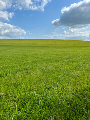 Obraz premium A wonderful open-air park. sunny weather and light clouds in the sky create an amazing atmosphere. Beautiful sunny summer day