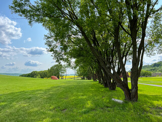 Fototapeta na wymiar A wonderful open-air park. sunny weather and light clouds in the sky create an amazing atmosphere. Beautiful sunny summer day