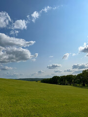 A wonderful open-air park. sunny weather and light clouds in the sky create an amazing atmosphere. Beautiful sunny summer day
