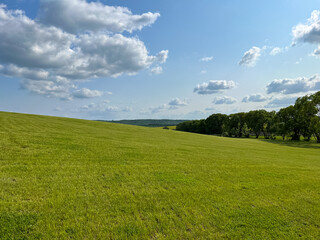 A wonderful open-air park. sunny weather and light clouds in the sky create an amazing atmosphere. Beautiful sunny summer day
