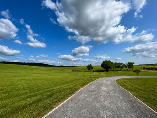 A wonderful open-air park. sunny weather and light clouds in the sky create an amazing atmosphere. Beautiful sunny summer day