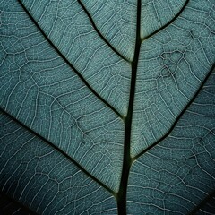 Naklejka na ściany i meble Nature's Veins: Closeup of a Leaf, Generated by Generative AI 
