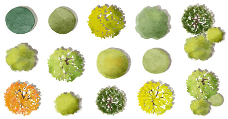 green tree, Vector watercolor of blooming tree top view isolated on white background for landscape plan and architecture drawing, elements for environment and garden,botanical elements ,blooming 