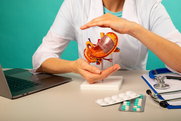 Doctor holding anatomical stomach model and pillls in his office