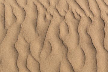 sand ripples in the sand