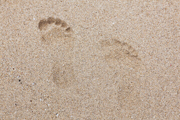 Traces of two right human feet in the wet sand.