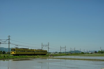 初夏の近江路を走る近江鉄道800系普通電車 (近江鉄道本線 河辺の森 -...