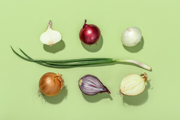 Different kinds of onion on green background