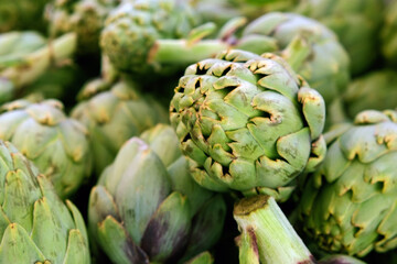 Fresh green artichoke close up. Organic healthy vegetables.