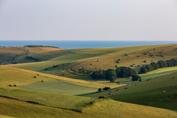 Fototapeta na wymiar A rolling South Downs landscape looking towards the sea, from Kingston Ridge in Sussex