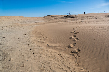 Elsen Tasarkhai or mini-Gobi is located 280km west of Ulaanbaatar in Mongolia, It is a sand dune that stretches 80km long, and 5km wide in Hugnu-Tarna National Park