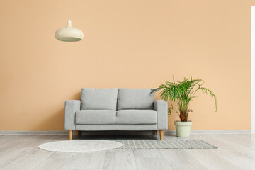 Cozy grey sofa and houseplant near beige wall