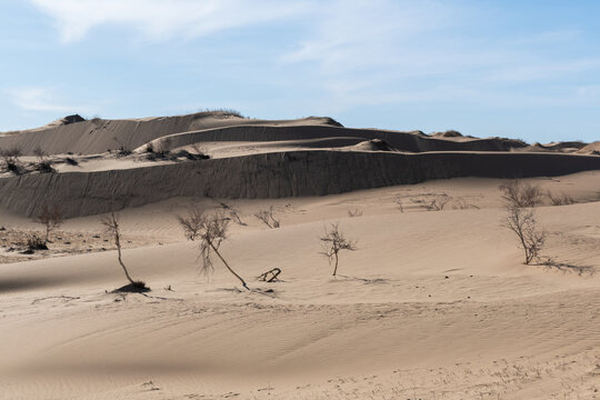 Elsen Tasarkhai or mini-Gobi is located 280km west of Ulaanbaatar in Mongolia, It is a sand dune that stretches 80km long, and 5km wide in Hugnu-Tarna National Park