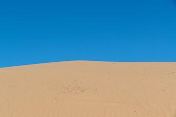 sand dunes in the desert