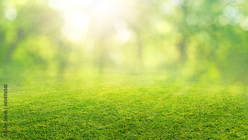 Wall mural natural grass field background with blurred bokeh and trees in park