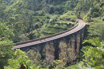 Fototapeta premium The Nine Arches Bridge Demodara Ella Sri LAnaka
