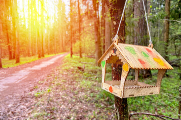 bird feeder on a tree in the park