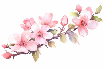Naklejka na ściany i meble Watercolor painting of pink spring blossom isolated on white background created with Generative AI technology
