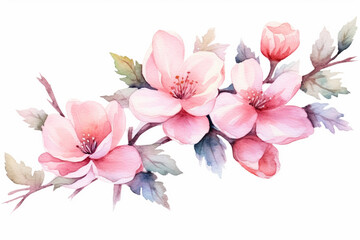 Naklejka na ściany i meble Watercolor painting of pink spring blossom isolated on white backgroundcreated with Generative AI technology