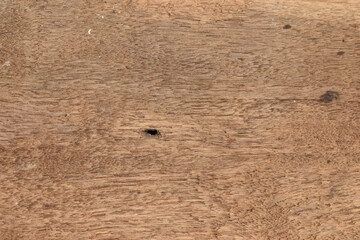 old wood texture with scratches as background