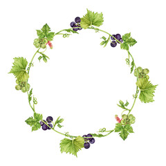 Round frame with green and purple grapes and leaves. Watercolor hand drawn illustration perfect for cards, invitations and other designs