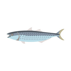 ボラ。フラットなベクターイラスト。
Flathead grey mullet. Flat designed vector illustration.