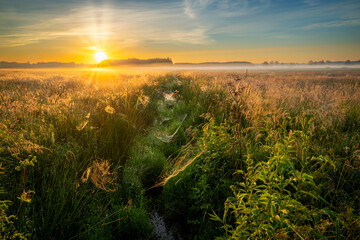 Fototapeta na wymiar Beautiful autumn morning over the meadow covered with fog