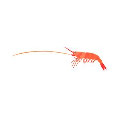 アマエビ（ホッコクアカエビ）。フラットなベクターイラスト。
Alaskan pink shrimp.  Flat designed vector illustration.