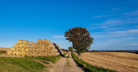 Stacked hay bales in a Lincolnshire field