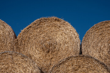 Stacked hay bales in a Lincolnshire field