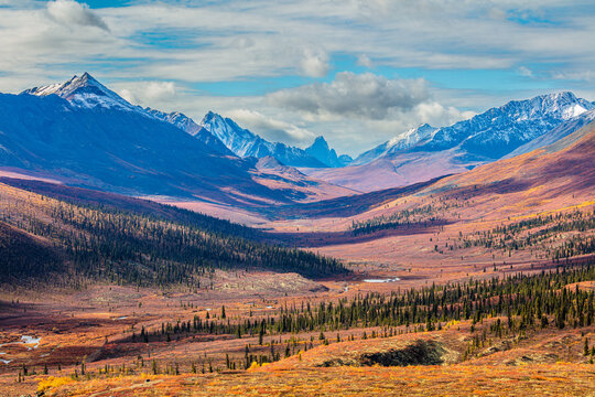 Landscape with Tombstone Mountain and the Ogilvie Mountain Range in autumn colors as viewed from the Dempster Highway near Dawson City; Yukon Territory, Canada