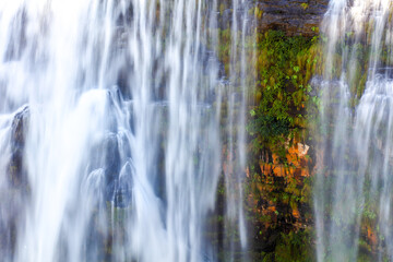 Contrast between plants growing on orange rocks with water flowing down a waterfall (with motion blur)