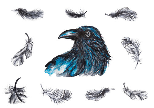 Rabenfedern - raven feathers