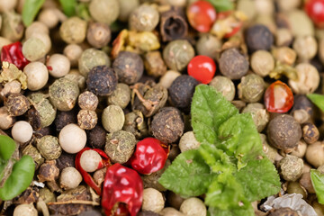 Beautiful Spices Macro Exploring the Vibrant World of Culinary Delights