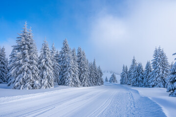 winter landscape in a ski resort with snow